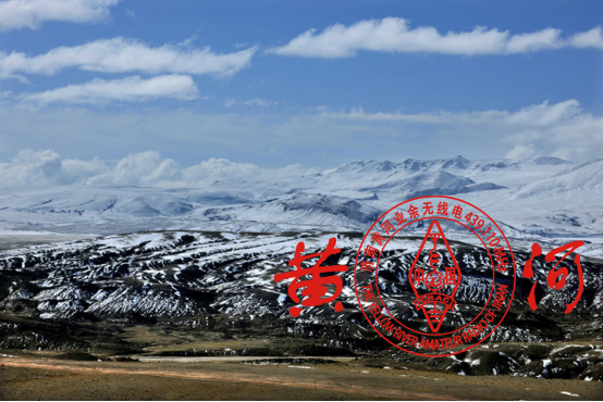 藏北雪域高原的景象