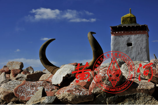 石头上刻着藏文