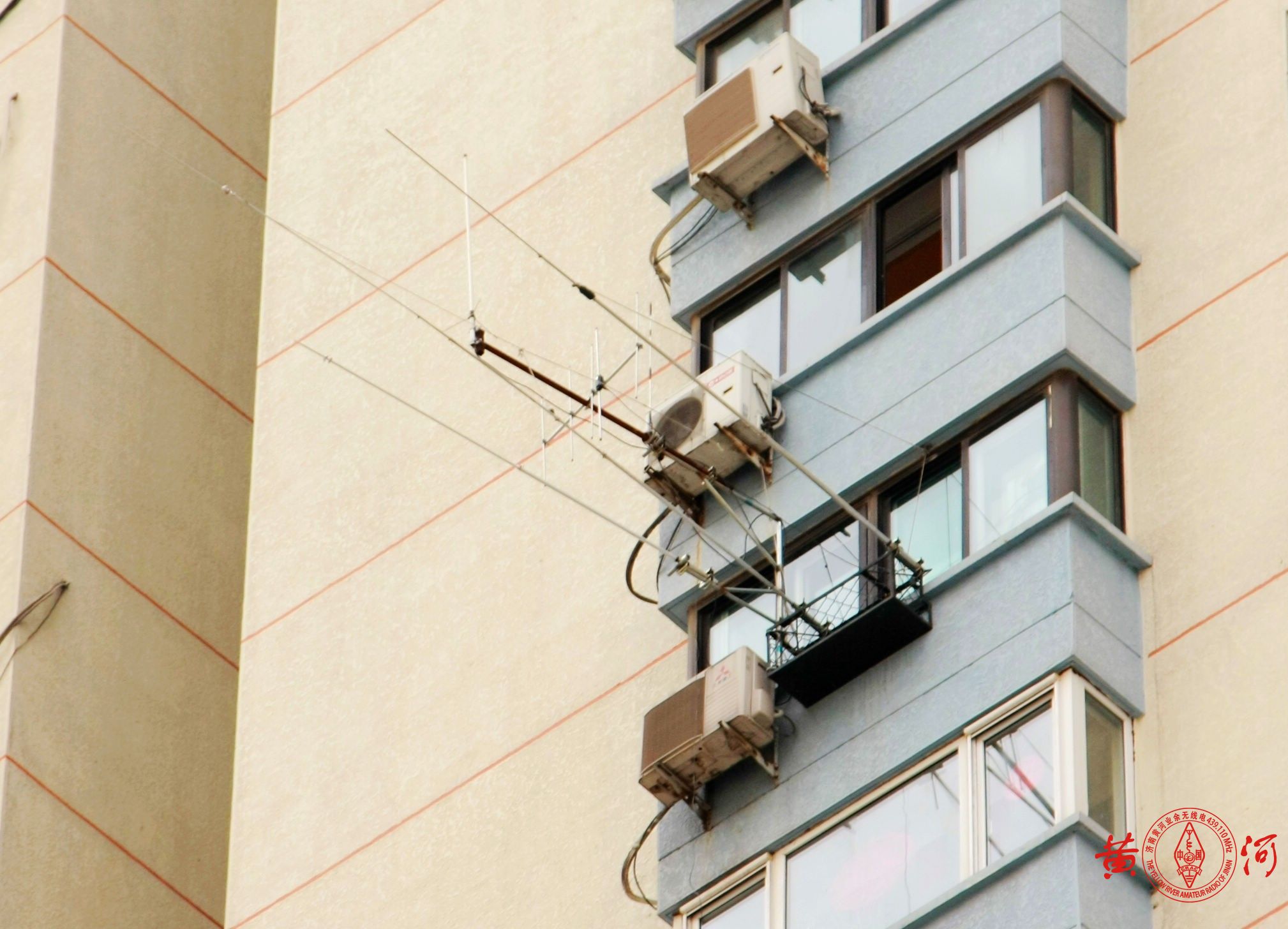 图十:我的3根单波段GP天线(15米、20米、40米波段)